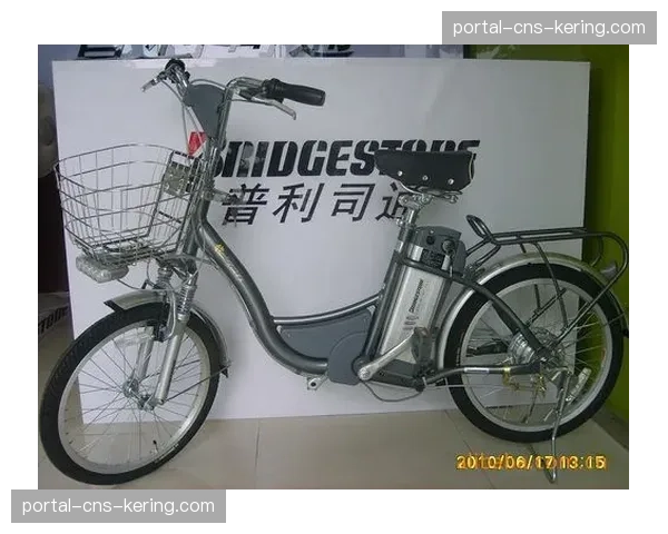 电动山地车法规争议：法国通过新规限制其进入部分传统步道